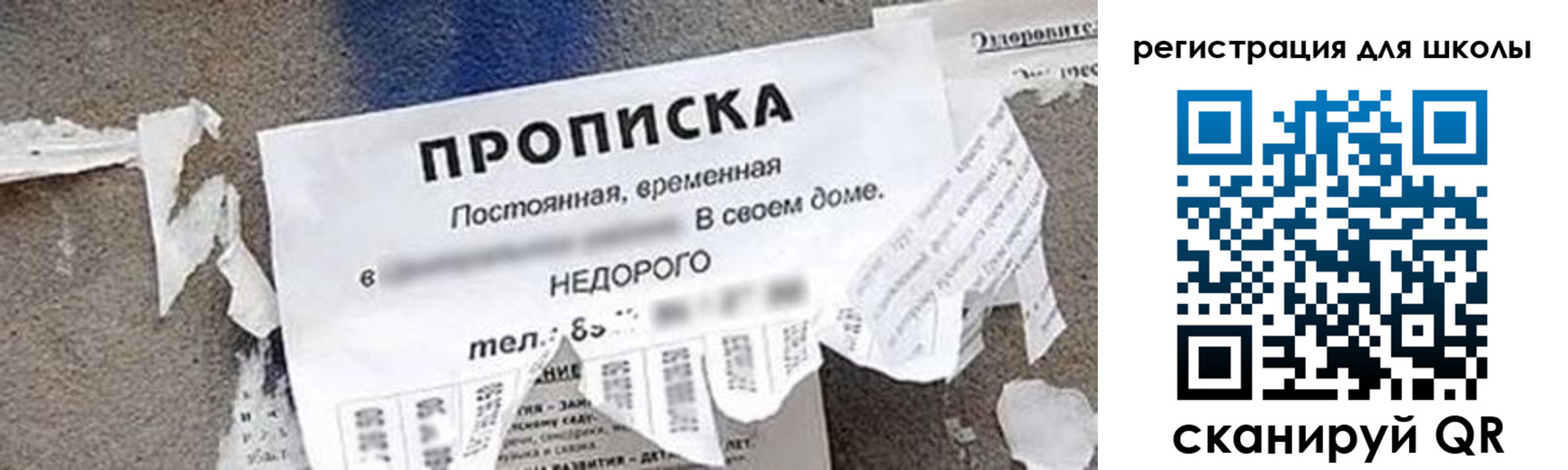 временная регистрация поиск в Анапе